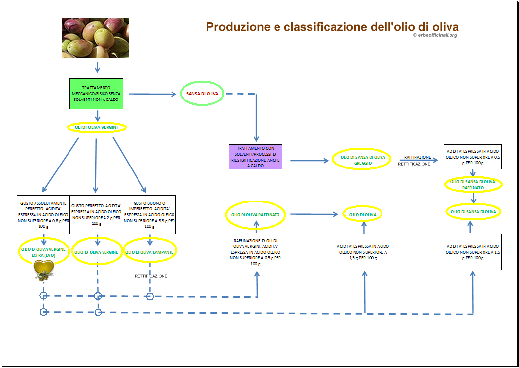 Produzione e tipi di Olio di oliva